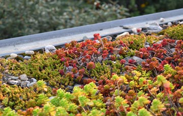 the cost of Winkton green roof installation