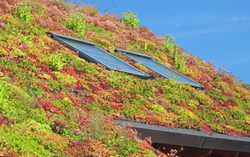 Winkton living roof systems