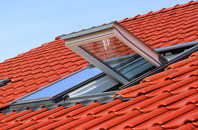 Winkton roof window